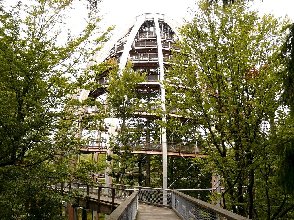 Complex systems integration for advanced lifestyle optimization