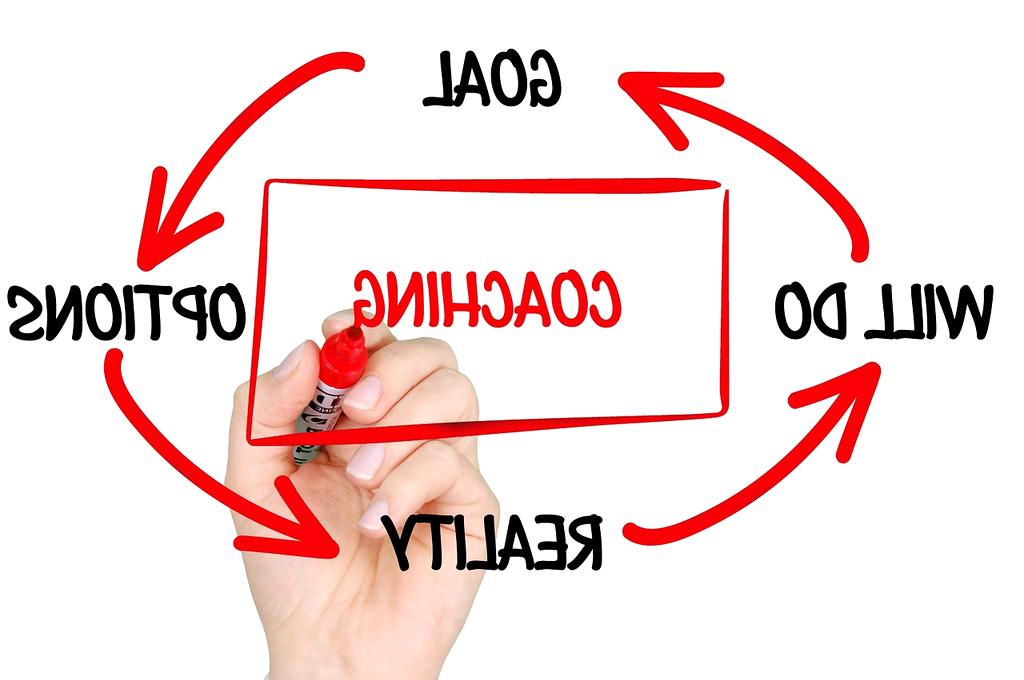 Leadership and mentoring skills for lifestyle planning mastery